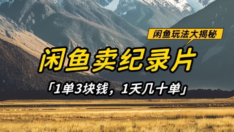 闲鱼卖纪录片1单3块钱，1天几十单，项目稳定有潜力-徐小晨博客