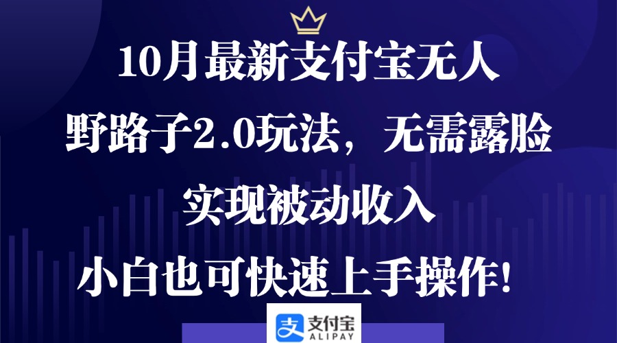 10月最新支付宝无人野路子2.0玩法，无需露脸，实现被动收入，小白也可…-徐小晨博客