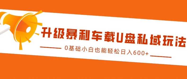 升级暴利车载U盘私域玩法，0基础小白也能轻松日入多张【揭秘】-徐小晨博客