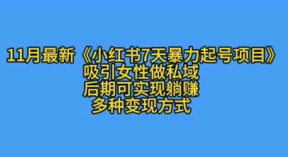 K总部落11月最新小红书7天暴力起号项目，吸引女性做私域【揭秘】-徐小晨博客