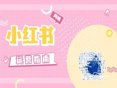 小红书运营指南，没有套路，全是经验-徐小晨博客