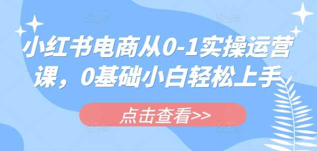 小红书电商从0-1实操运营课，0基础小白轻松上手-徐小晨博客