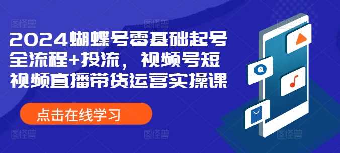 2024蝴蝶号零基础起号全流程+投流，视频号短视频直播带货运营实操课-徐小晨博客