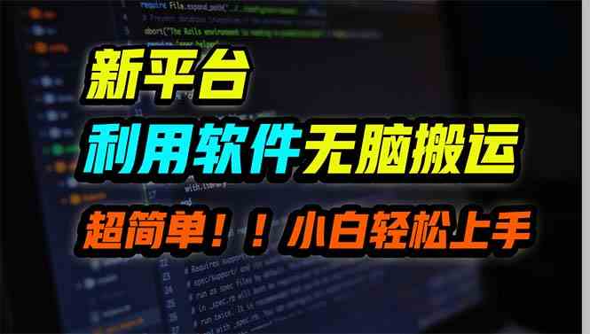 新平台用软件无脑搬运，月赚10000+，小白也能轻松上手-徐小晨博客