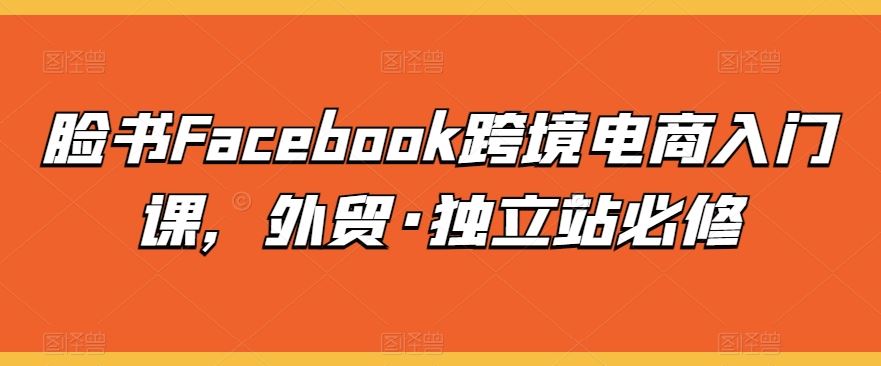 脸书Facebook跨境电商入门课，外贸·独立站必修-徐小晨博客