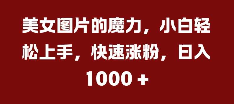美女图片的魔力，小白轻松上手，快速涨粉，日入几张【揭秘】-徐小晨博客