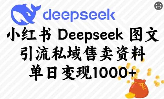 小红书Deepseek图文引流私域售卖资料，单日变现多张-徐小晨博客