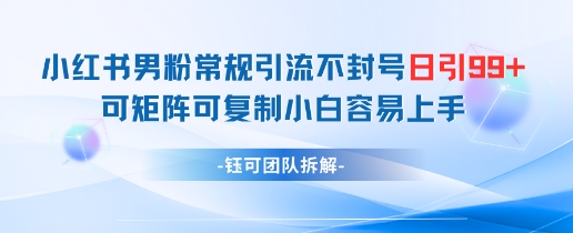 小红书男粉常规引流不封号日引99+变现简单 可矩阵可复制小白容易上手-徐小晨博客