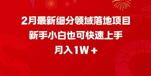 2月最新细分领域落地项目，新手小白也可快速上手，月入1W-徐小晨博客