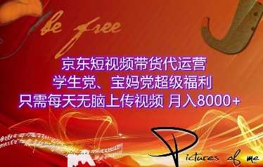 京东短视频带货代运营，学生党、宝妈党超级福利，只需每天无脑上传视频，月入8000+【仅揭秘】-徐小晨博客