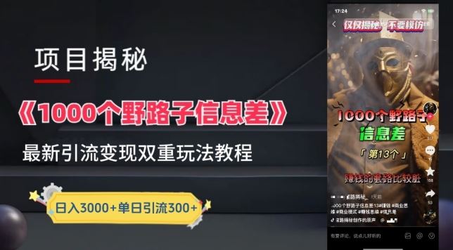 一千个野路子信息差最新玩法教程-变现+引流的玩法具体拆解【揭秘】-徐小晨博客