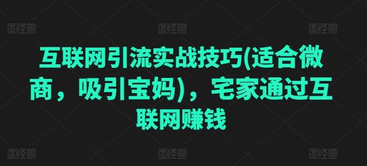 互联网引流实战技巧(适合微商，吸引宝妈)，宅家通过互联网赚钱-徐小晨博客