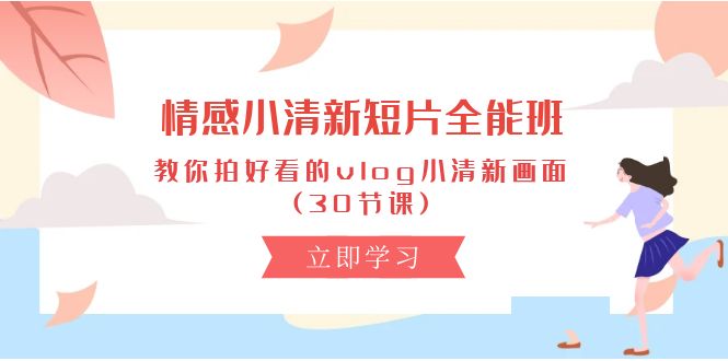 情感 小清新短片-全能班，教你拍好看的vlog小清新画面 (30节课-徐小晨博客