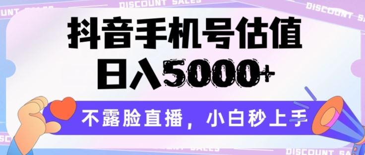 抖音手机号估值，日入5000+，不露脸直播，小白秒上手【揭秘】-徐小晨博客