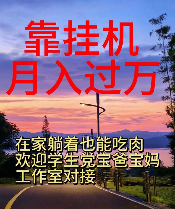 靠挂机，日入1000+，躺着也能吃肉，适合宝爸宝妈学生党工作室，电脑手…-徐小晨博客