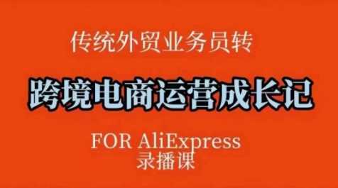 跨境电商速卖通运营课，运营方法论+后台实操，逻辑清晰-徐小晨博客