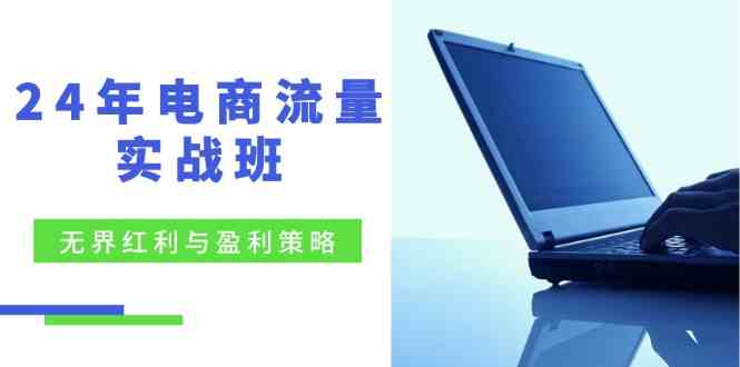电商流量实战班：无界红利与盈利策略，终极提升/关键词优化/精准人群拓展/创新玩法-徐小晨博客