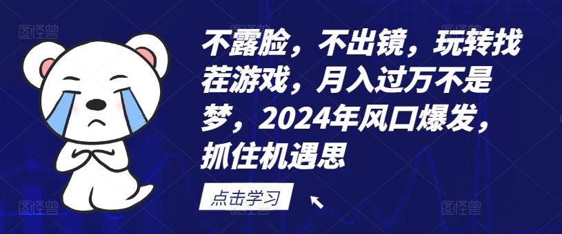 不露脸，不出镜，玩转找茬游戏，月入过万不是梦，2024年风口爆发，抓住机遇【揭秘】-徐小晨博客