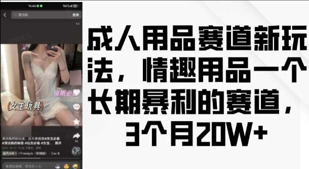 成人用品赛道新玩法，情趣用品一个长期暴利的赛道，3个月收益20个【揭秘】-徐小晨博客