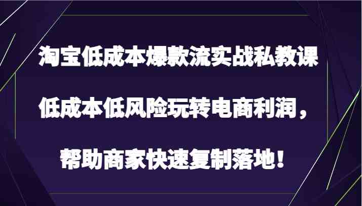 淘宝低成本爆款流实战私教课，低成本低风险玩转电商利润，帮助商家快速复制落地！-徐小晨博客