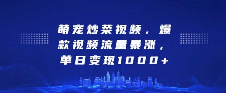 萌宠炒菜视频，爆款视频流量暴涨，单日变现1k-徐小晨博客