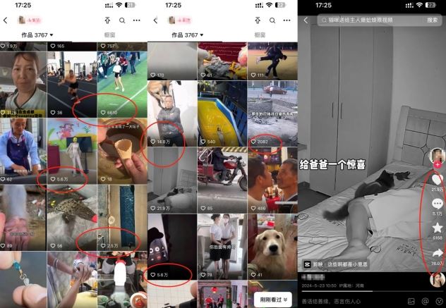 抖音最新双图文卡模板搬运技术，安卓苹果通用，百万千万播放嘎嘎爆-徐小晨博客