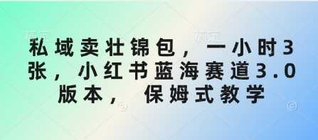 私域卖壮锦包，一小时3张，小红书蓝海赛道3.0版本， 保姆式教学-徐小晨博客