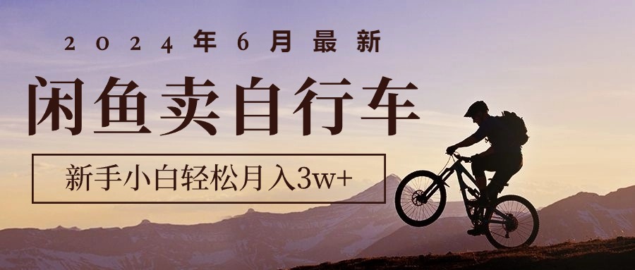 2024年6月最新闲鱼卖自行车，新手小白轻松月入3w+项目-徐小晨博客
