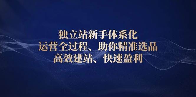 独立站新手体系化 运营全过程，助你精准选品、高效建站、快速盈利-徐小晨博客