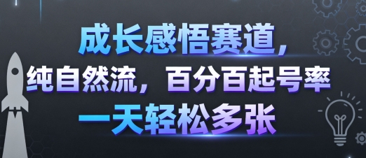 成长感悟赛道，纯自然流，百分百起号率 一天轻松多张-徐小晨博客