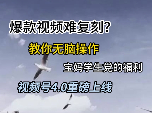 视频号4.0重磅上线，爆款视频难复刻？教你无脑操作宝妈学生党的福利【揭秘】-徐小晨博客