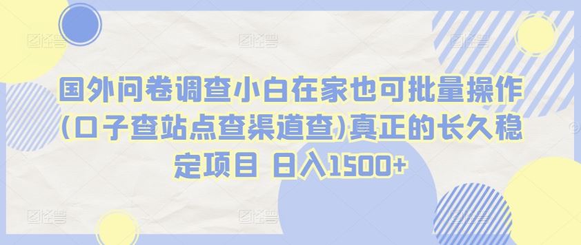 国外问卷调查小白在家也可批量操作(口子查站点查渠道查)真正的长久稳定项目 日入1500+【揭秘】-徐小晨博客