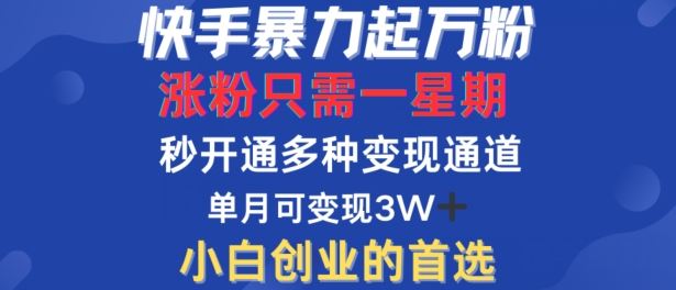 快手暴力起万粉，涨粉只需一星期，多种变现模式，直接秒开万合，单月变现过W【揭秘】-徐小晨博客