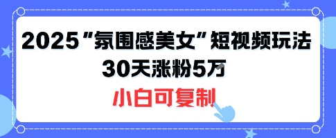 不露脸也能火！2025“氛围感美女”短视频玩法，30天涨粉5W小白可复制-徐小晨博客