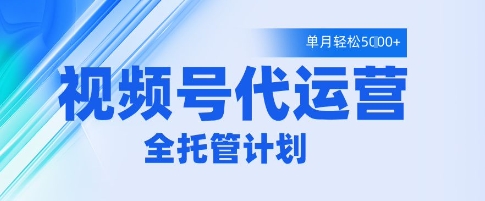 视频号代运营2.0，全程托管招募，单月轻松变现5k【揭秘】-徐小晨博客