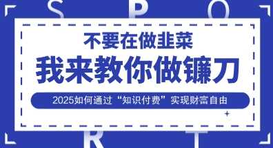 韭菜生涯终结者，我来教你做镰刀，2025如何通过“知识付费”实现财F自由【揭秘】-徐小晨博客