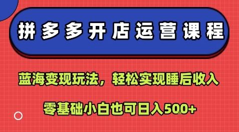 拼多多开店运营课程：蓝海变现玩法，轻松实现睡后收入，零基础小白也可日入5张-徐小晨博客