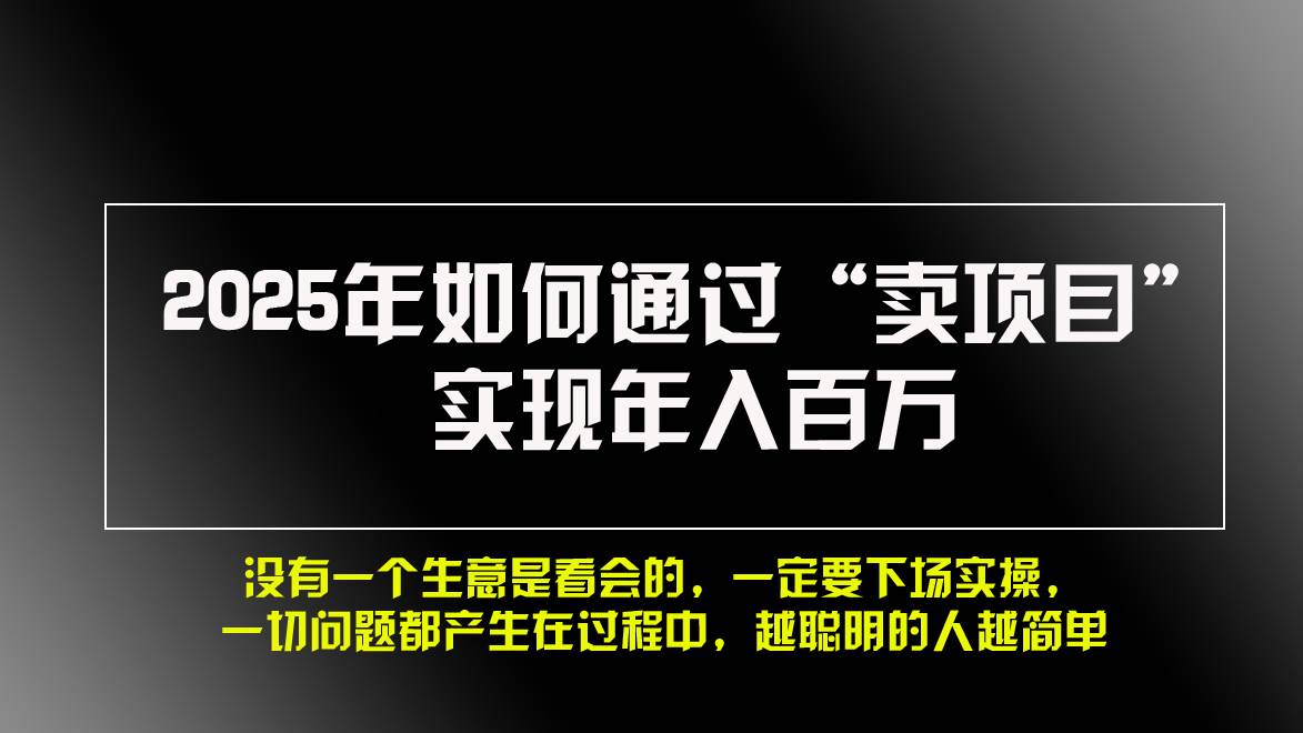 2025年如何通过“卖项目”实现年入百万，做网赚必看！！-徐小晨博客