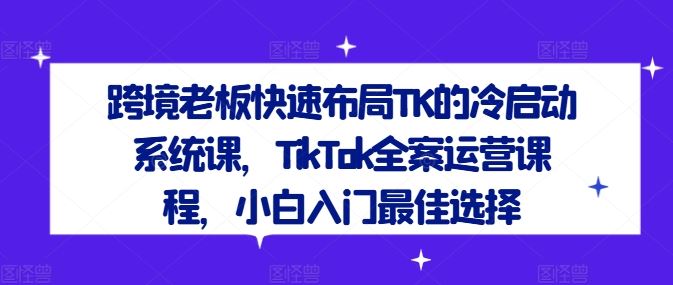 跨境老板快速布局TK的冷启动系统课，TikTok全案运营课程，小白入门最佳选择-徐小晨博客