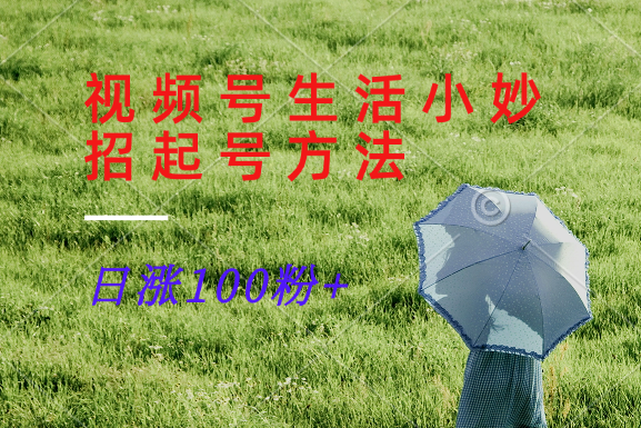 视频号生活小妙招分享赛道， 起号涨粉新方法，日涨100粉-徐小晨博客