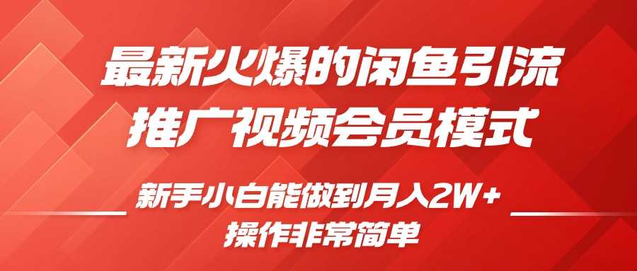 闲鱼引流推广影视会员，0成本就可以操作，新手小白月入过W+【揭秘】-徐小晨博客