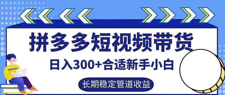 拼多多短视频带货日入300+有长期稳定被动收益，合适新手小白【揭秘】-徐小晨博客