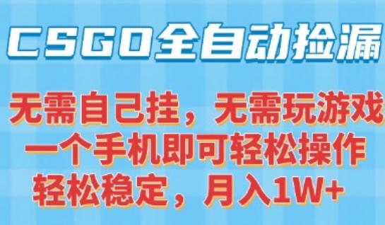 CSGO自动捡漏项目，最新独家玩法，一个手机可操作，新手小白轻松月入1W+，操作简单易上手【揭秘】-徐小晨博客