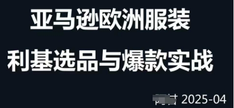 跨境电商选品案例24-25年，聚焦跨境电商选品策略与运营优化，助力卖家挖掘蓝海市场-徐小晨博客
