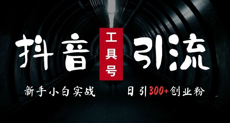 2024最新抖音工具号引流玩法，高效日引300+创业粉，当天变现5k，小白也可成为实战高手-徐小晨博客