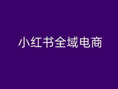 小红书全域电商，小红书电商教程-徐小晨博客
