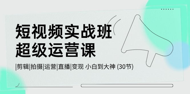 短视频实战班-超级运营课，|剪辑|拍摄|运营|直播|变现 小白到大神 (30节-徐小晨博客