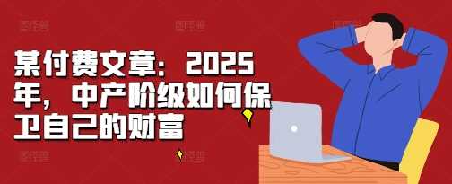 某付费文章：2025年，中产阶级如何保卫自己的财富-徐小晨博客