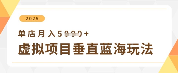 虚拟项目垂直玩法，实现单店月入5k+-徐小晨博客
