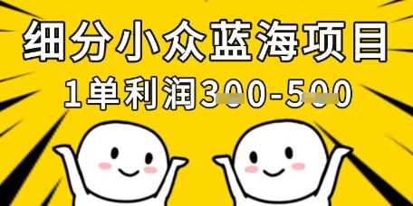 细分小众蓝海项目，一单利润3张，每月收入稳定过1w+-徐小晨博客